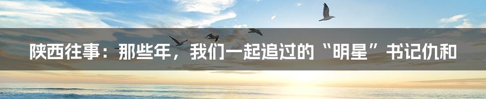 陕西往事：那些年，我们一起追过的“明星”书记仇和