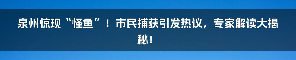 泉州惊现“怪鱼”！市民捕获引发热议，专家解读大揭秘！