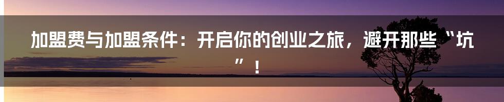 加盟费与加盟条件：开启你的创业之旅，避开那些“坑”！