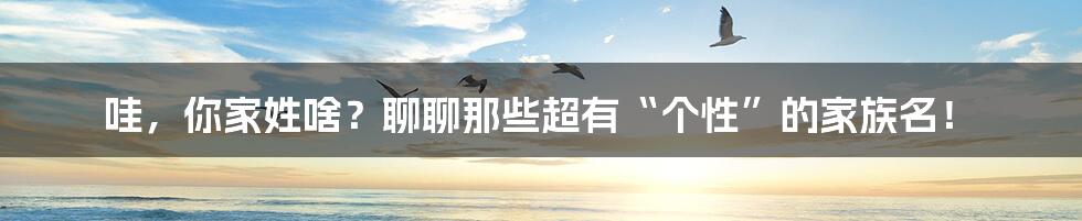 哇，你家姓啥？聊聊那些超有“个性”的家族名！