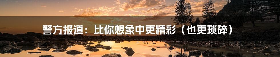 警方报道：比你想象中更精彩（也更琐碎）