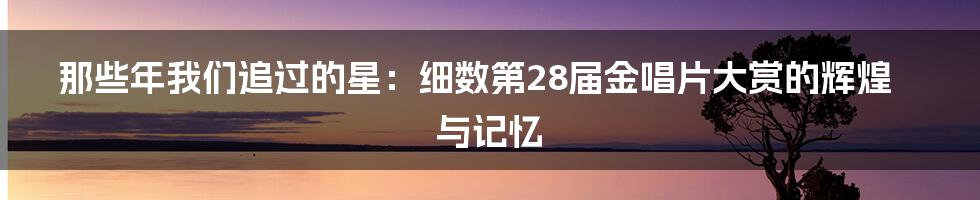 那些年我们追过的星:细数第28届金唱片大赏的辉煌与记忆