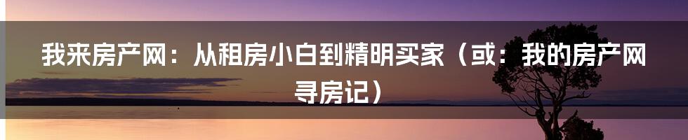 我来房产网：从租房小白到精明买家（或：我的房产网寻房记）