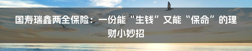 国寿瑞鑫两全保险:一份能“生钱”又能“保命”的理财小妙招