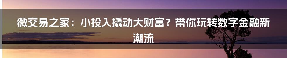 微交易之家:小投入撬动大财富?带你玩转数字金融新潮流