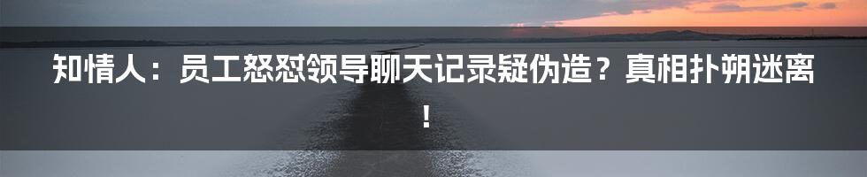 知情人:员工怒怼领导聊天记录疑伪造?真相扑朔迷离!