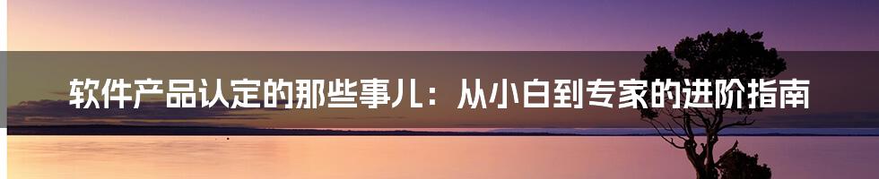 软件产品认定的那些事儿：从小白到专家的进阶指南