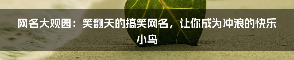 网名大观园:笑翻天的搞笑网名,让你成为冲浪的快乐小鸟