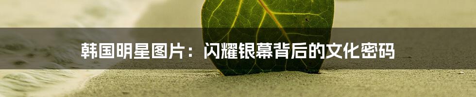 韩国明星图片：闪耀银幕背后的文化密码