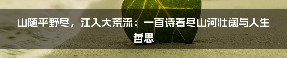 山随平野尽,江入大荒流:一首诗看尽山河壮阔与人生哲思