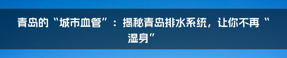青岛的“城市血管”：揭秘青岛排水系统，让你不再“湿身”