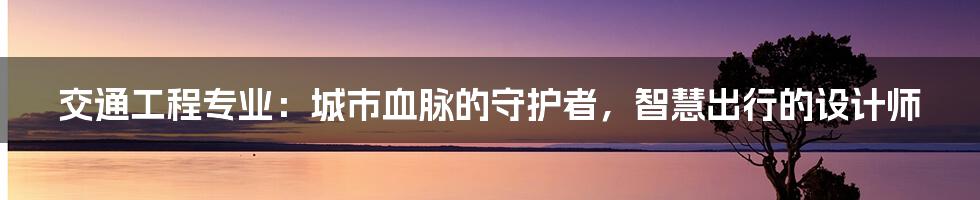 交通工程专业：城市血脉的守护者，智慧出行的设计师