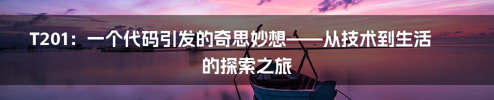 T201：一个代码引发的奇思妙想——从技术到生活的探索之旅