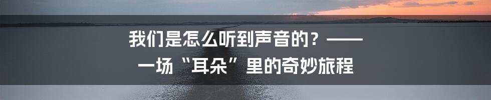 我们是怎么听到声音的？—— 一场“耳朵”里的奇妙旅程