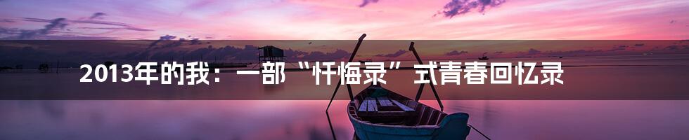 2013年的我：一部“忏悔录”式青春回忆录