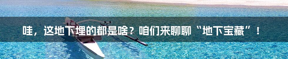 哇，这地下埋的都是啥？咱们来聊聊“地下宝藏”！
