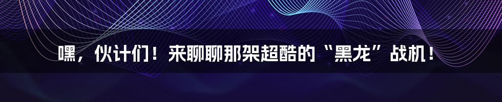 嘿，伙计们！来聊聊那架超酷的“黑龙”战机！