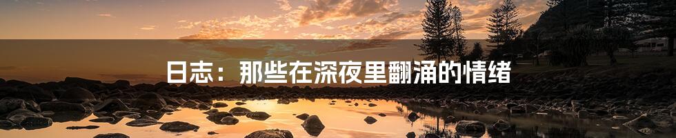 日志:那些在深夜里翻涌的情绪