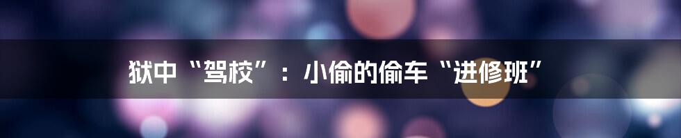 狱中“驾校”：小偷的偷车“进修班”