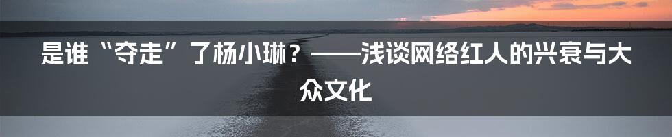 是谁“夺走”了杨小琳？——浅谈网络红人的兴衰与大众文化