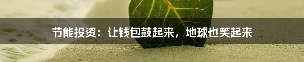 节能投资:让钱包鼓起来,地球也笑起来