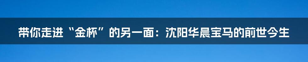 带你走进“金杯”的另一面:沈阳华晨宝马的前世今生