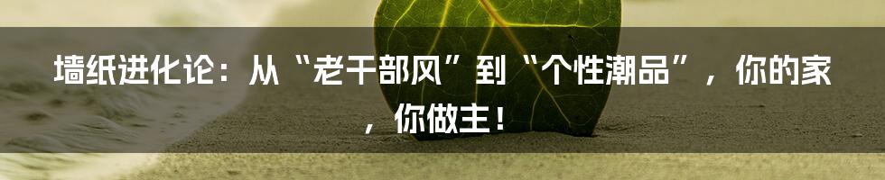 墙纸进化论：从“老干部风”到“个性潮品”，你的家，你做主！