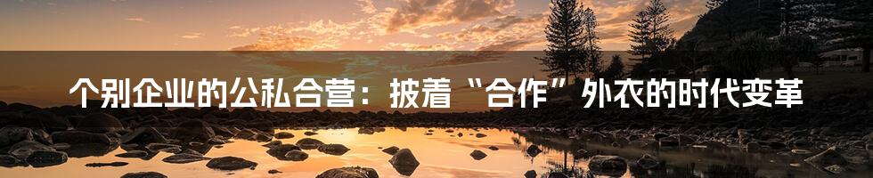 个别企业的公私合营:披着“合作”外衣的时代变革