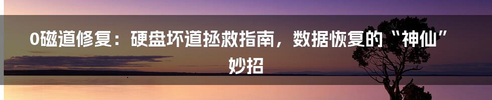 0磁道修复：硬盘坏道拯救指南，数据恢复的“神仙”妙招