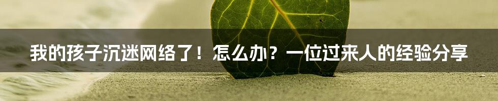 我的孩子沉迷网络了！怎么办？一位过来人的经验分享
