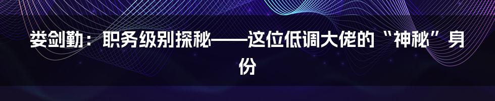 娄剑勤:职务级别探秘——这位低调大佬的“神秘”身份