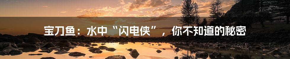 宝刀鱼：水中“闪电侠”，你不知道的秘密