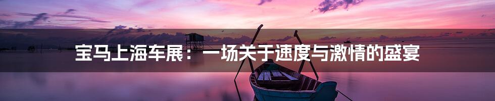 宝马上海车展:一场关于速度与激情的盛宴
