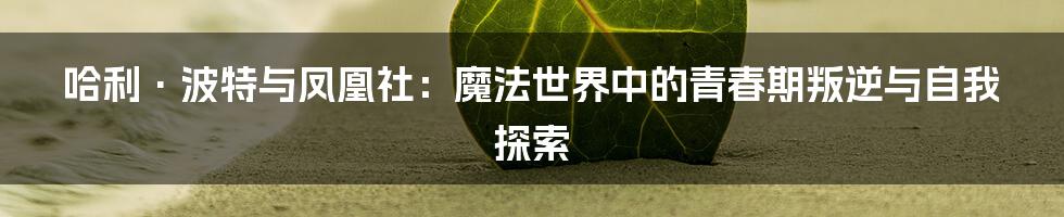 哈利·波特与凤凰社:魔法世界中的青春期叛逆与自我探索