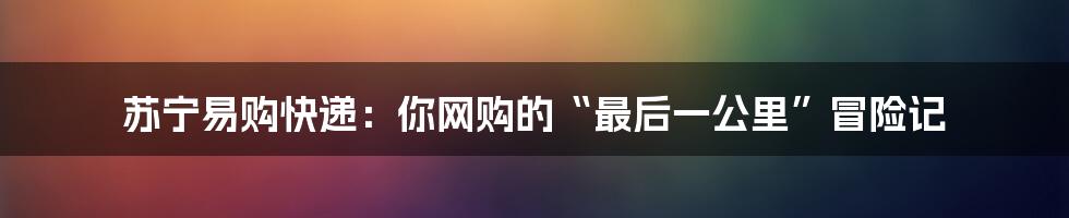 苏宁易购快递：你网购的“最后一公里”冒险记