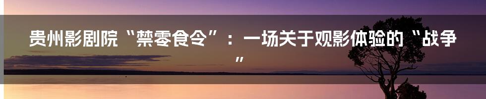 贵州影剧院“禁零食令”:一场关于观影体验的“战争”