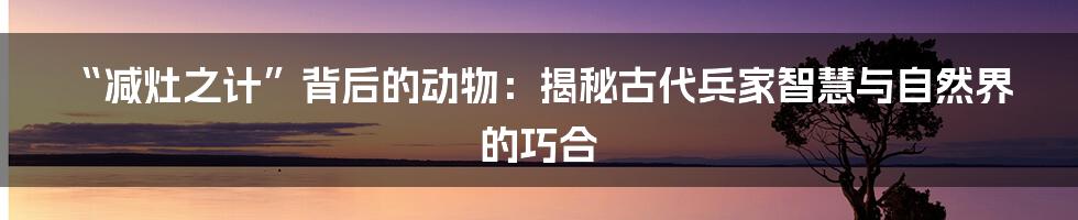 “减灶之计”背后的动物：揭秘古代兵家智慧与自然界的巧合