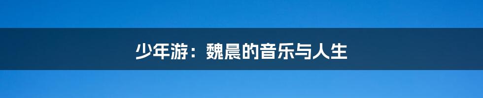 少年游:魏晨的音乐与人生