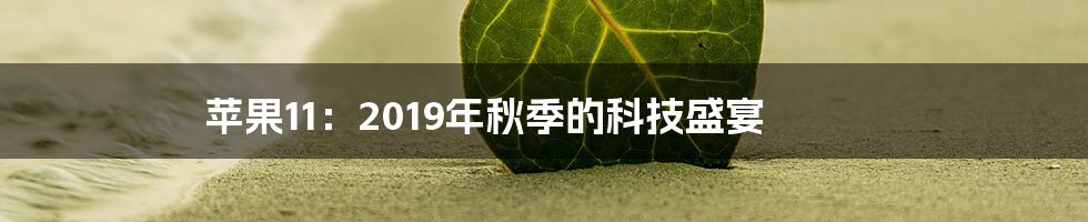 苹果11：2019年秋季的科技盛宴