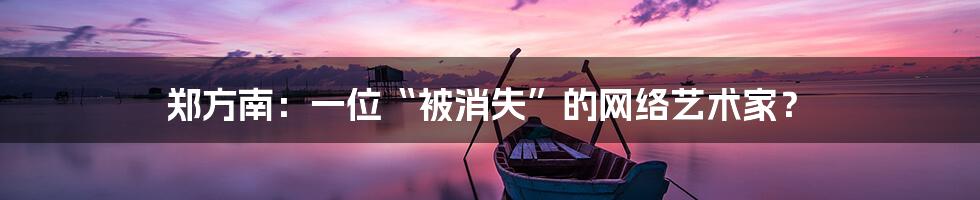 郑方南:一位“被消失”的网络艺术家?