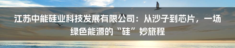 江苏中能硅业科技发展有限公司:从沙子到芯片,一场绿色能源的“硅”妙旅程