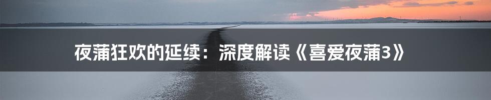 夜蒲狂欢的延续:深度解读《喜爱夜蒲3》