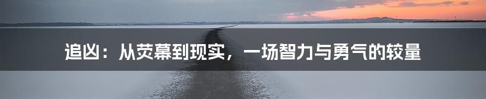 追凶：从荧幕到现实，一场智力与勇气的较量