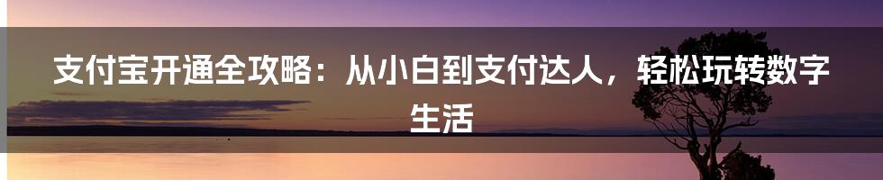 支付宝开通全攻略：从小白到支付达人，轻松玩转数字生活