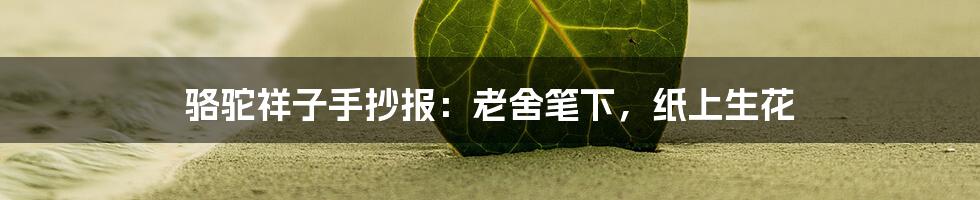 骆驼祥子手抄报:老舍笔下,纸上生花