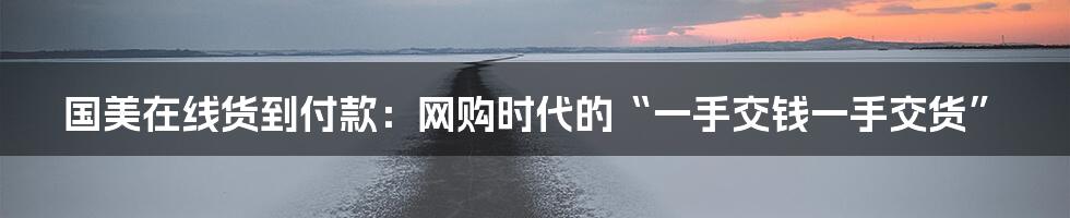 国美在线货到付款：网购时代的“一手交钱一手交货”
