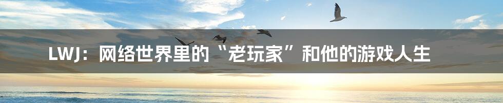 LWJ:网络世界里的“老玩家”和他的游戏人生