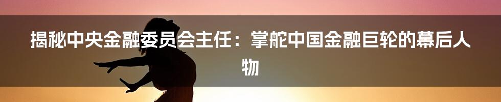 揭秘中央金融委员会主任:掌舵中国金融巨轮的幕后人物