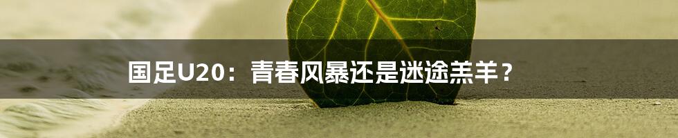 国足U20：青春风暴还是迷途羔羊？