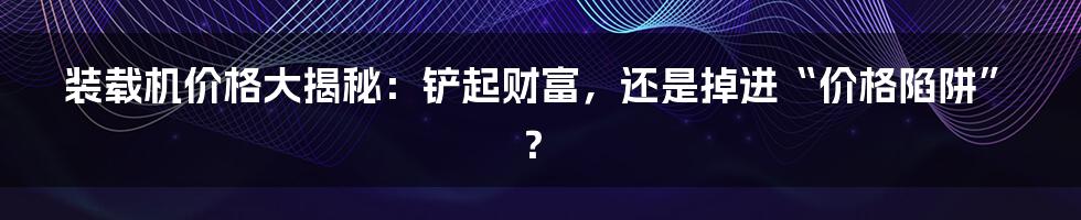 装载机价格大揭秘:铲起财富,还是掉进“价格陷阱”?